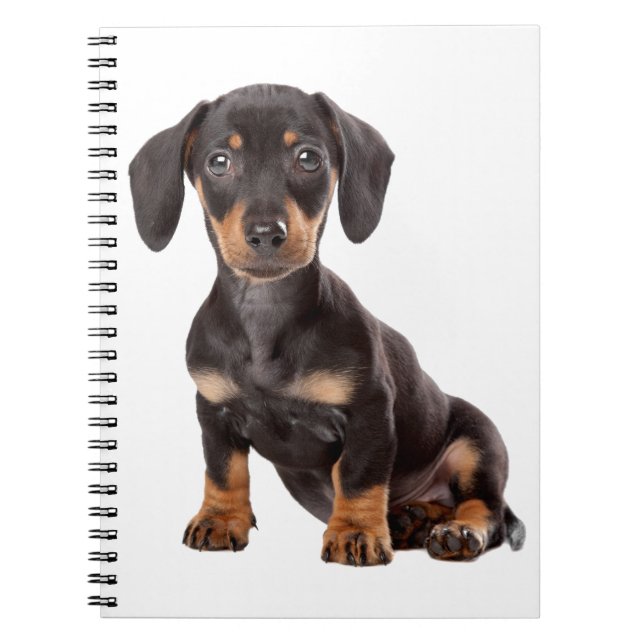 Liebe Dackel Welpe Black & Tan Hund Notizblock (Vorderseite)