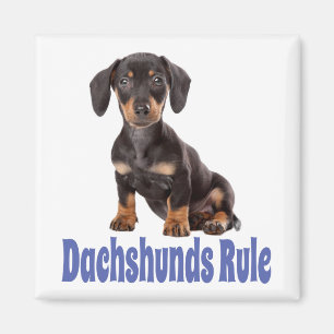 Liebe Dackel Welpen Hund Kühlschrankmagnet