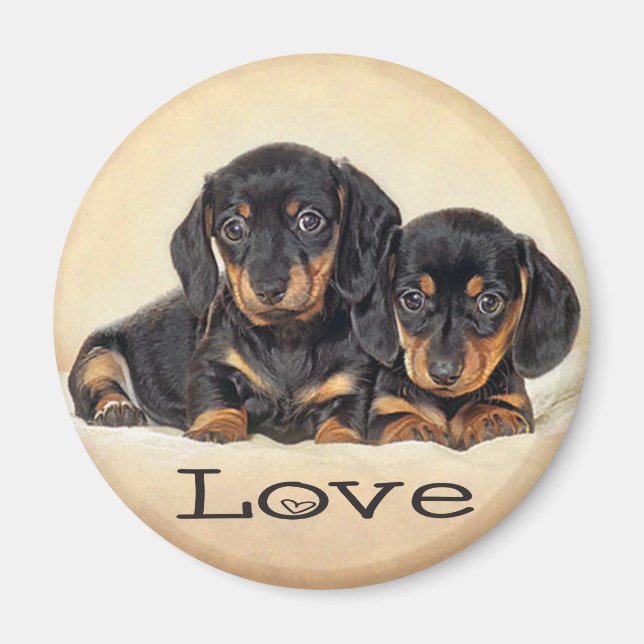 Liebe Dackel Welpen Hund Kühlschrankmagnet (Vorne)
