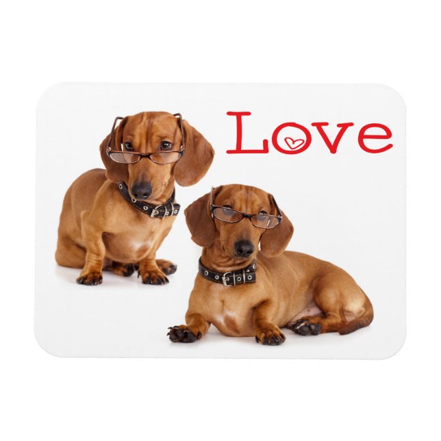 Liebe Dackel Welpen Hund Kühlschrankmagnet Magnet (Horizontal)