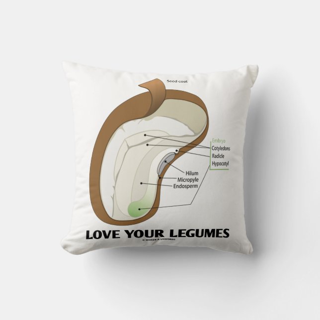 Liebe Deine Leguminosen Bean Dicotyledon Kissen (Vorderseite)