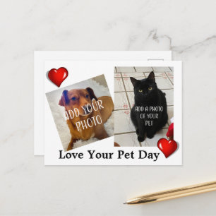 Liebe Deinen Haustier-Tag Postkarte
