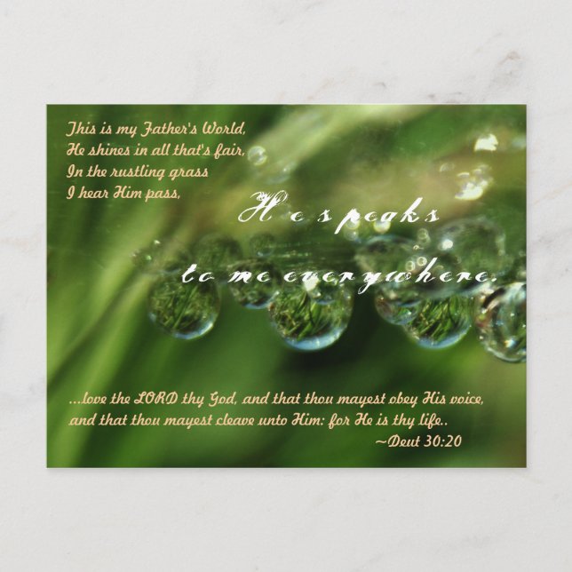...Liebe den Herrn, deinen Gott, und dass du sein  Postkarte (Vorderseite)