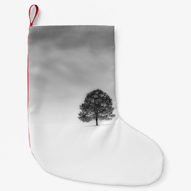 LIEBE DER EINFACHHEIT DER WINTERFOTOGRAFIE  KLEINER WEIHNACHTSSTRUMPF (Vorderseite)