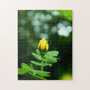 Liebe der Gelben Rosen 252 Stück Puzzle 11x14
