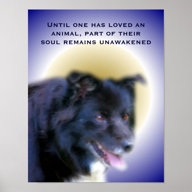 Liebe der Grenzkollie für Tiere auf Inspiration Poster (Vorne)