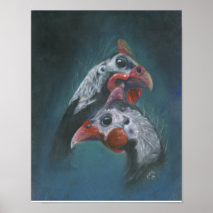 Liebe der jungen Guinea Poster