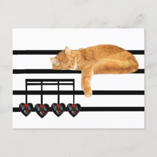 Liebe der Katze Postkarte