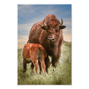 Liebe der Mütter Fotodruck