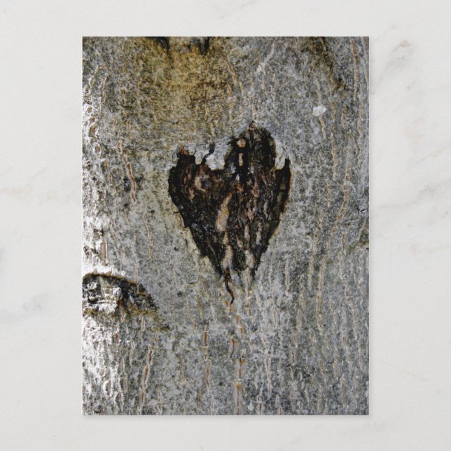 Liebe der Natur Postkarte (Vorderseite)