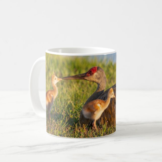 Liebe der Sandhill-Krane an die Küken Kaffeetasse (Vorderseite Links)