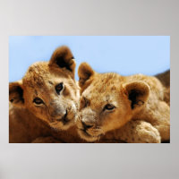 Liebe des Babys