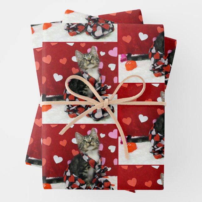 Liebe des Bandit - Katzenpapierblätter Geschenkpapier Set (Beispiel)
