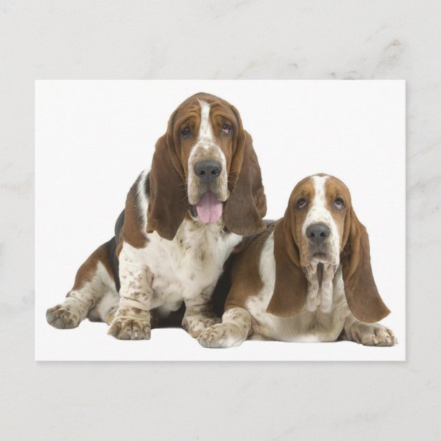 Liebe des Basset Hound Puppy Dog, Hallo denken Sie Postkarte (Vorderseite)