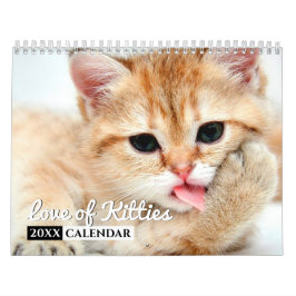 Liebe des Fotos Kätzchen Mauerkalenders Kalender