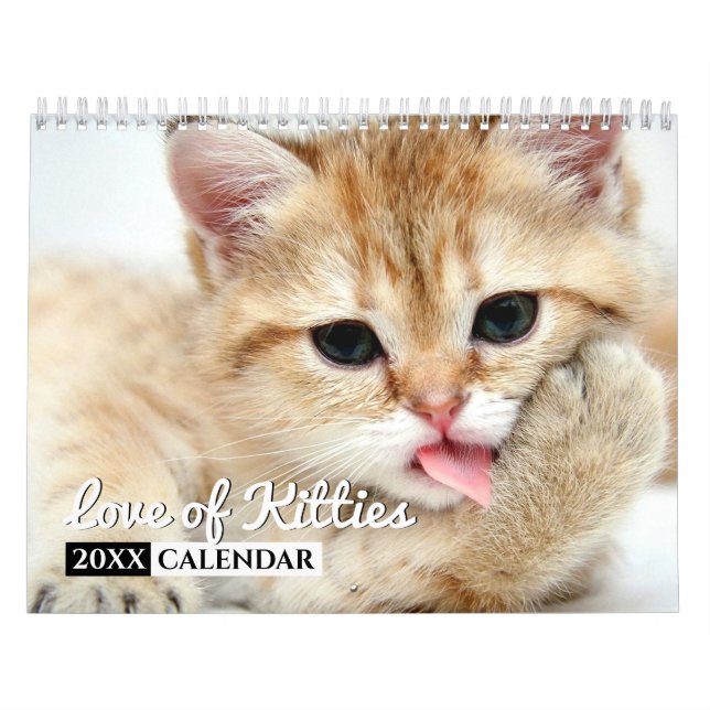 Liebe des Fotos Kätzchen Mauerkalenders Kalender (Titelbild)