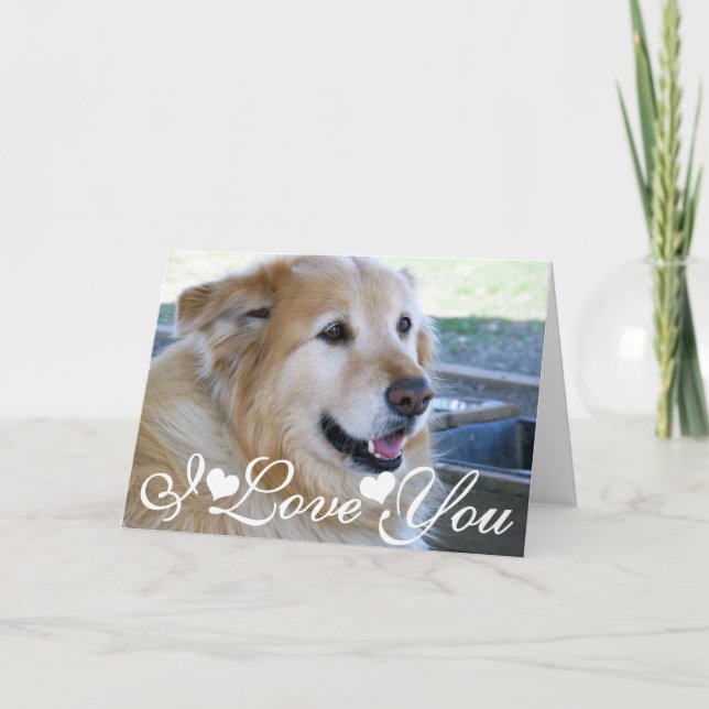 Liebe des goldener Retriever-Foto-Bild-I Sie Karte (Vorderseite)