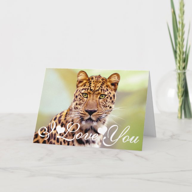 Liebe des Leopard-Fotografie-Bild-I Sie Karte (Vorderseite)