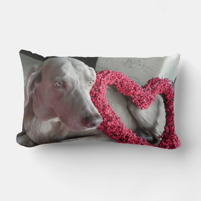 Liebe des Regens - Weimaraner-Hundepic - Kissen (Vorderseite)