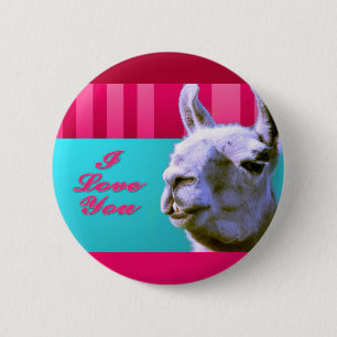 Liebe des Valentinelamas I sind Sie rosarote Button