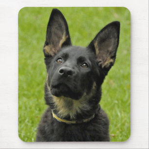 Liebe Deutsche Schäferhund-Welpe-Hund Grüner Mausp Mousepad