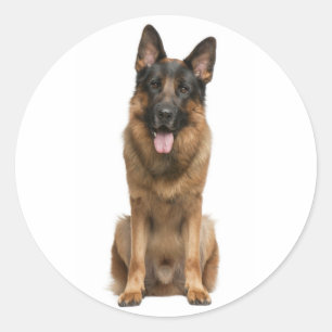 Liebe Deutsche Schäferhund Welpen Aufkleber