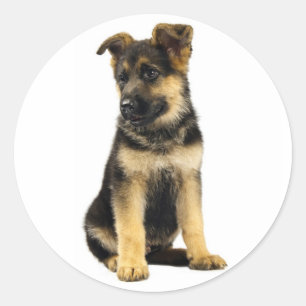 Liebe Deutsche Schäferhund Welpen Hund Aufkleber