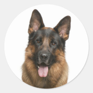 Liebe Deutscher Schäferhund-Hundekleber Runder Aufkleber