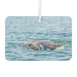 Liebe Dolphin & Baby Air Freshener Autolufterfrischer