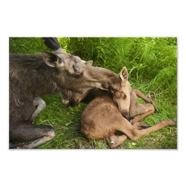 Liebe einer Mutter Fotodruck (Vorne)