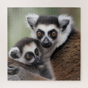 **"Liebe einer Mutter: Mama und Baby Lemur Cuddlin