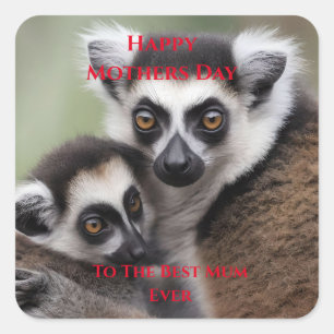 **"Liebe einer Mutter: Mama und Baby Lemur Cuddlin Quadratischer Aufkleber