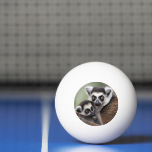 **"Liebe einer Mutter: Mama und Baby Lemur Cuddlin Tischtennisball