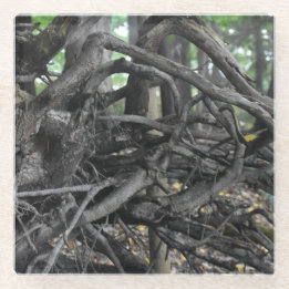 Liebe eines gefallenen Baumes Glasuntersetzer