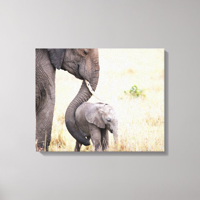 Liebe Elefant Baby Foto Leinwanddruck (Vorderseite)