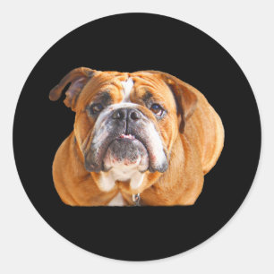 Liebe English Bulldog dog Face - Brown Mascot Runder Aufkleber