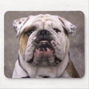 Liebe English Bulldog Welpe Hund Mauspad