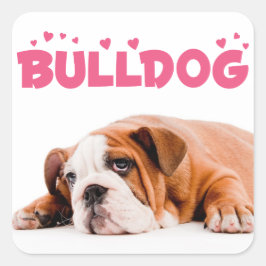 Liebe English Bulldog Welpe Hund Pink Hearts Stick Quadratischer Aufkleber