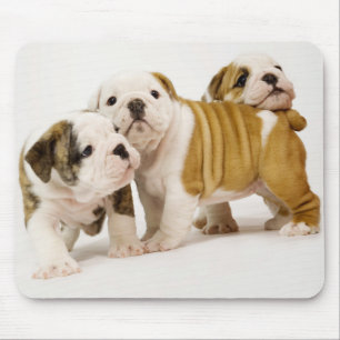 Liebe English Bulldog Welpen Hunde Weiße Mauspad