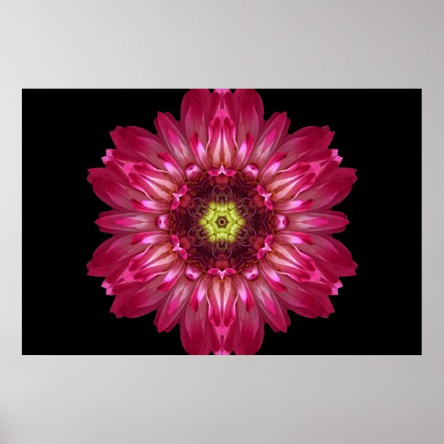 Liebe erlaubt Blume Mandala Poster (Vorne)
