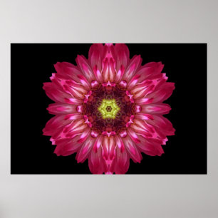 Liebe erlaubt Blumemandala-Plakat Poster