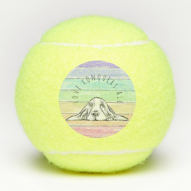 Liebe erobert alle Hunde Regenbogenbasare, die mic Tennisbälle (Vorderseite)