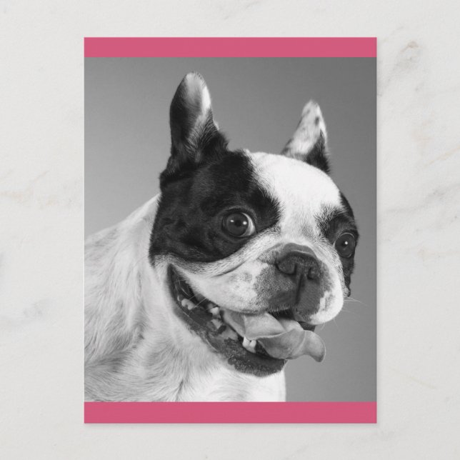 Liebe Französische Bulldog-Welpendockkarte Postkarte (Vorderseite)