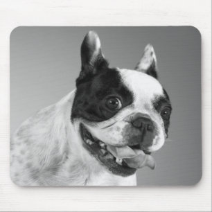 Liebe Französischer Bulldog Welpenhund Schwarz-We Mousepad