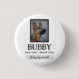 Liebe Gedenk Funeral Tier Verlust In unseren Herze Button
