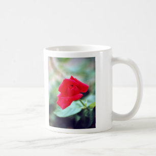 Liebe-Gedicht und Rosen-Knospe Kaffeetasse