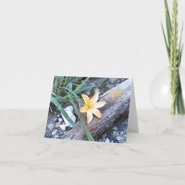 Liebe Gelbe Blume Blank Grußkarte Dankeskarte (Vorderseite)