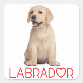 Liebe Gelbes Labrador Retriever Puppy Hunde Sticke Quadratischer Aufkleber
