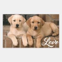 Liebe Gelbes Labrador Retriever Welpen Sticker