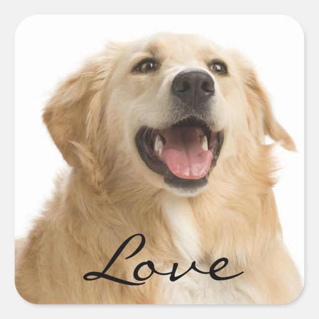 Liebe Golden Retriever Puppy Docking Stickers (Vorderseite)